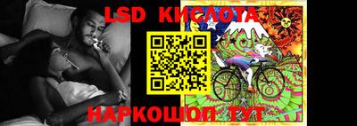 шишки Лесосибирск