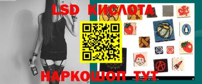 шишки Лесосибирск