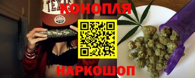шишки Лесосибирск