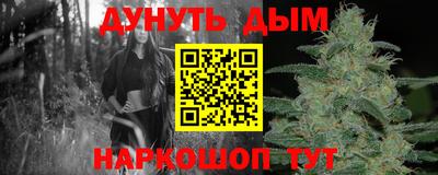 шишки Лесосибирск