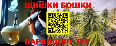 шишки Лесосибирск
