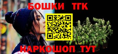 шишки Лесосибирск