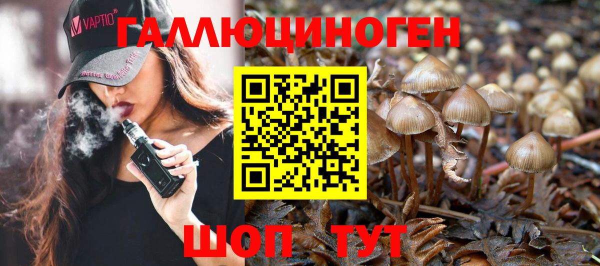 Галлюциногенные грибы GOLDEN TEACHER Губаха