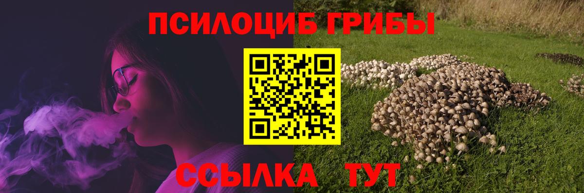 дарнет шоп  Псилоцибиновые грибы Magic Shrooms  Псилоцибиновые грибы прущие грибы  Вход с VPN  Губаха 